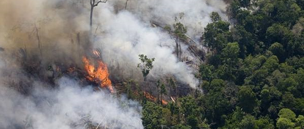 The number of fires in the Amazon rain forest has swelled this year, leading to international concern and a meeting of South American leaders last week in Colombia. // Photo: Brazilian Government.
