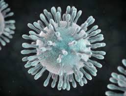 An image of the latest coronavirus.