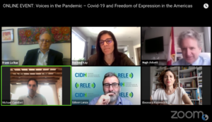 Panelists on the Zoom webinar "Voice in the Pandemic"