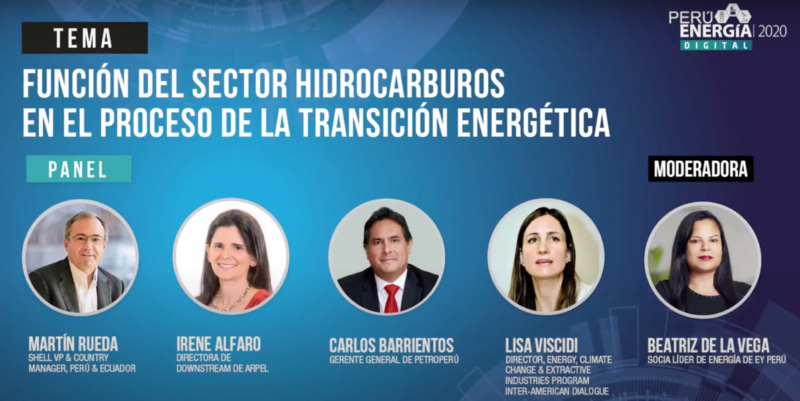 List of panelists and their headshot from the Peru Energia 2020 Event