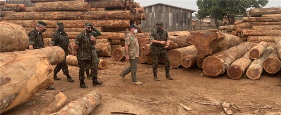 Brazilian Defense Minister Fernando Azevedo is pictured at the site of an illegal logging operation.