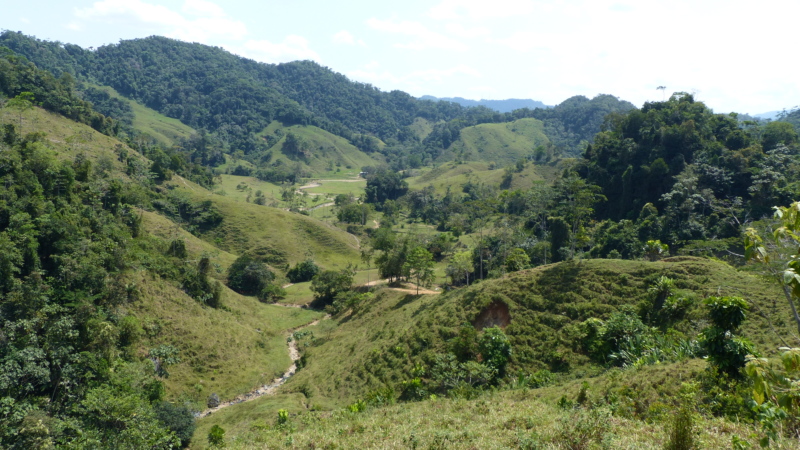 foto de una area rural verde en Colombia