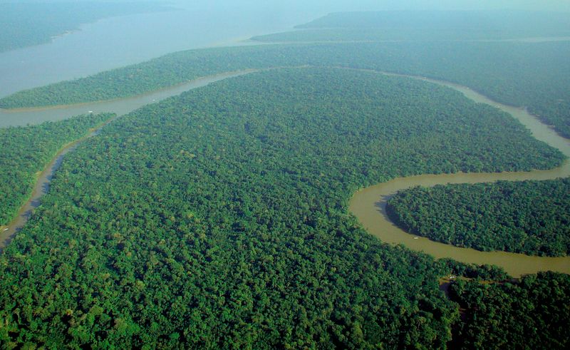 Aerial Veiw of the Amazon Rainforest