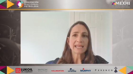 Lisa Viscidi habla durante un evento virtual de la Asociación Mexicana de Empresas de Hidrocarburos
