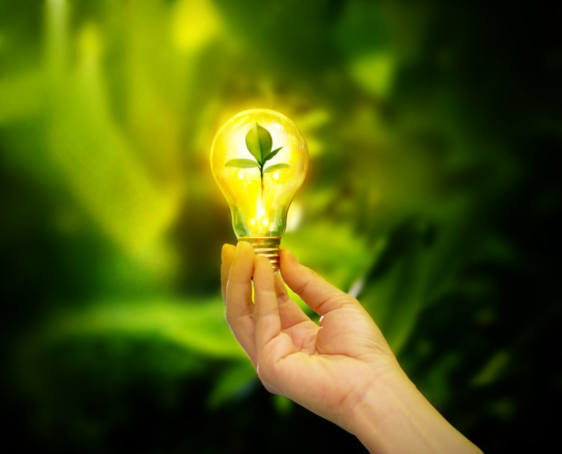 hand holding light bulb with energy, green leaves inside