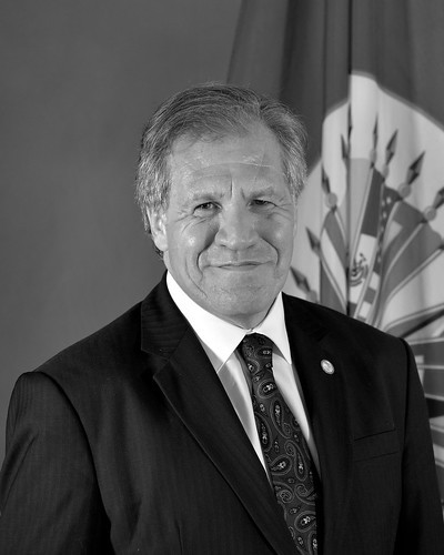 Profile image of Luis Almagro, Secretary General of the Organization of American States, in black and white